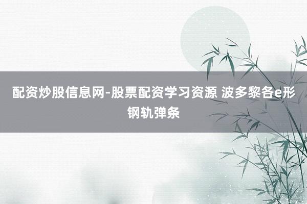 配资炒股信息网-股票配资学习资源 波多黎各e形钢轨弹条